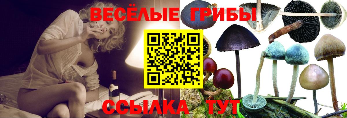 Галлюциногенные грибы Cubensis  Вход с VPN  Псилоцибиновые грибы Magic Shrooms  Улан-Удэ 